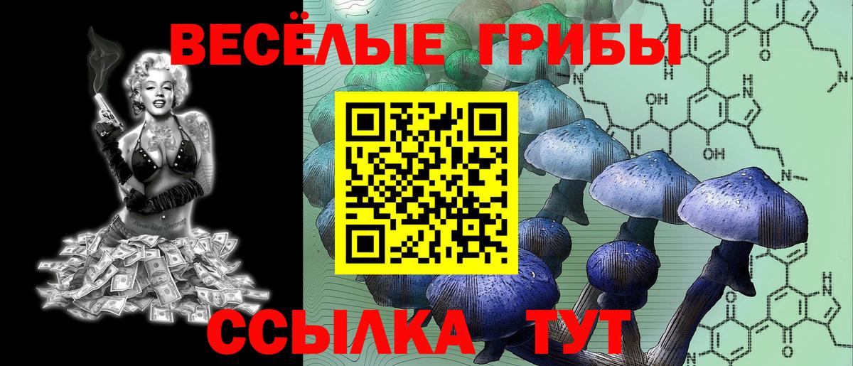 Псилоцибиновые грибы MAGIC MUSHROOMS Новоуральск