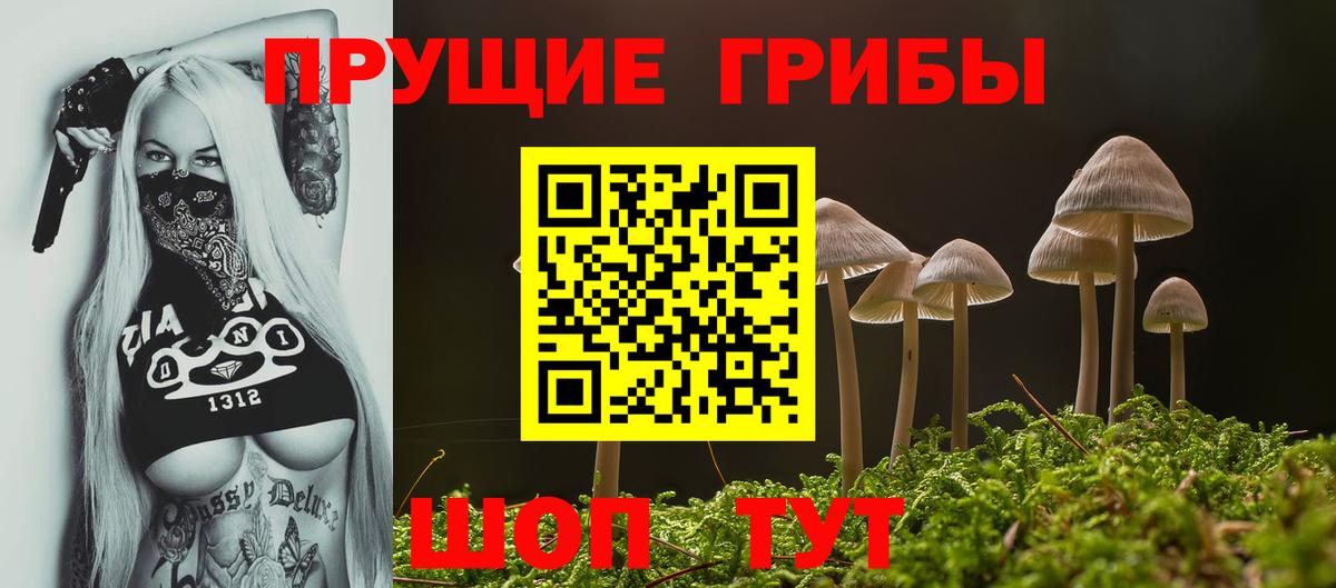 даркнет сайт  Галлюциногенные грибы прущие грибы  Вход с VPN  Новоуральск  Псилоцибиновые грибы Magic Shrooms 