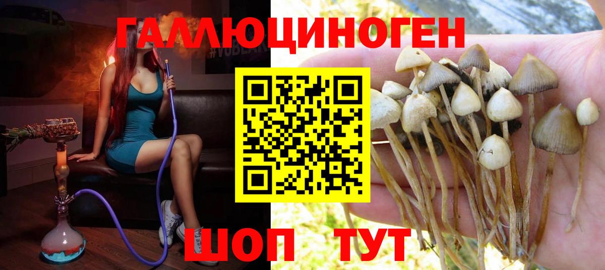 Меф  Вход с VPN  Марихуана  Cocaine  Меф МЯУ МЯУ кристаллы  Новоуральск  Гашиш  МЕТАМФЕТАМИН  ГАШИШ  Альфа ПВП СК кристаллы 